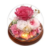 Touloube Regali Natale per Donna - Rosa Stabilizzata Vera Regalo per la Festa Della Mamma, Avanzate Regalo per Lei, Eterna Fiore Bella e la Bestia con Luci LED, Regalo Rosa Moglie Mamma Nonna