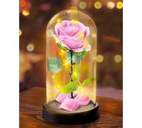 Touloube Rosa Eterna con Luci LED in Cupola di Vetro - Ispirata a La Bella e la Bestia, Fiore Stabilizzato per Sempre, Regalo Donna per Anniversario Compleanno, Idee Regalo Romantico per Lei