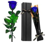 Touloube Rosa Stabilizzata Regalo per la Festa Della Mamma per Donne,Vera Eterna Blu Fiori, Regalo per la Regina Della Casa, Idee Regalo Donna Compleanno Anniversario, Regali Mamma Fidanzata Moglie