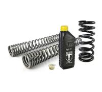 Touratech Set Di Molle Progressive Per Forcella Anteriore Black-t Bmw R18