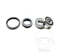 TOURMAX Kit cuscinetto ruota ALTN: 7520228