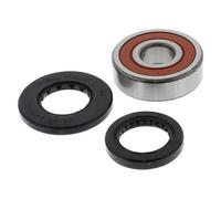 Tourmax Set cuscinetti ruota posteriore completo di paraoli