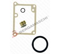 TOURMAX V839300341 KIT REVISIONE CARBURATORE YAMAHA RD LC 250 1982