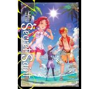 Touya A Tale of the Secret Saint ZERO (Light Novel) Vol. 2 (Tascabile)