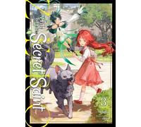 Touya A Tale of the Secret Saint ZERO (Light Novel) Vol. 3 (Tascabile)