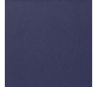 Tovaglia Coprimacchia Airlaid Tinta Unita Blu 100x100 cm 20 pz - Roial