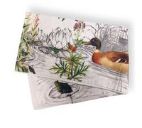 Tovaglia in cotone x12 persone 150x250 cm Stagno