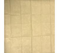 Tovaglia TNT 140x140 corda confezione da 100 pz