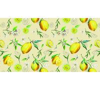 Nb Tovaglia plastificata in PVC, Rotolo da 140 h cm x 20 mt - Fantastik C96-1