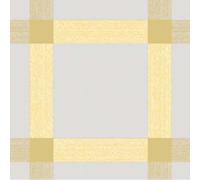Tovaglie Airlaid Osteria Miele Beige 100x100 cm 20 pz Ro.ial per Ristorante