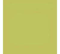 Tovaglie Airlaid Tinta Unita Verde Kiwi 100x100 cm 20 pz Roial per Ristorante