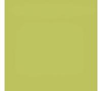Tovaglie Airlaid Tinta Unita Verde Kiwi 100x100 cm 20 pz Roial per Ristorante