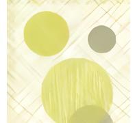 Tovaglie Coprimacchia Eclissi Verde Lime Airlaid 100x100cm 20pz Roial Ristorante