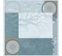 Tovaglie Coprimacchia New Moon Topazio Airlaid 100x100 cm 20 pz Roial Ristorante