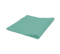 Tovaglie Tnt Coprimacchia Verde Tiffany 100x100 cm 25 pz Nwg per Ristorante