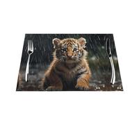 Tovaglietta in tessuto, 6 pezzi, resistente al calore, facile da pulire, adatta per feste all'aperto, decorazione da cucina, accessori da tavolo, 30,5 x 45,7 cm, cucciolo di tigre sotto la pioggia