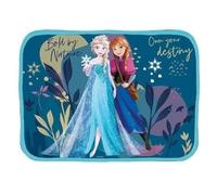 Tovaglietta Morbida Ripiegabile Sottopiatto Impermeabile CM.30X40 (per Frozen)