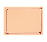 Tovagliette 48 Gsm 31X43 Cm Salmón Cellulosa - 500 Unità