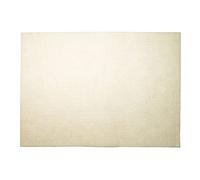 Tovagliette Antimacchia Easy in Tessuto non Tessuto per ristoranti, alberghi ed eventi, trama tipo lino, 30x40cm, 500 pz, Champagne
