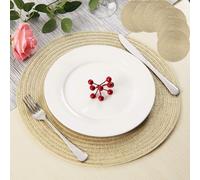 Tovagliette intrecciate rotonde da 38cm Set di 6 tovagliette per animali domestici in oro/nastro per tavoli da pranzo tovagliette antiscivolo lavabili tessute 6Pcs Sliver 38CM Placemats