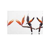 Tovagliette per tavolo da pranzo Set di 6 30,5 x 45,7 cm AKGFFDS Colorful uccello del paradiso Stampa per hotel Banchetto di famiglia