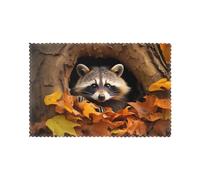 Tovagliette per tavolo da pranzo Set di 6 30,5 x 45,7 cm HHGFASD Raccoon in The Fall Tree Hole Pattern per hotel Family Banquet