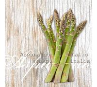 Tovaglioli di carta monouso, Asparagi, 20 pezzi 3 strati - 33 x 33