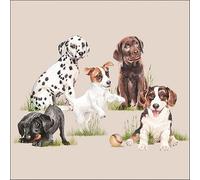 20 tovaglioli con animali e razze di cani nell'erba come decorazione da tavola. Tovaglioli di carta con motivo. Anche per decoupage e decoupage 33 x 33 cm