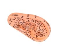 TOVINANNA Di Orecchio Per Agopuntura Ergonomico Strumento Didattico Per Massaggio e Riflessologia Design Tradizionale Cinese Adatto Tutti Tipi Simulazione Realistica