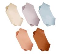 TOVINANNA Set 5 Pezzi Targhette Identificative per Stetoscopio, Etichette per Condotti Stetoscopio Cartello Nome, Accessori per Infermieri e Medici in Ospedaliero