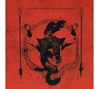 Towers Of Flesh - The Perpetual Paradox