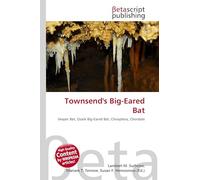 Townsend's Big-Eared Bat: Vesper Bat, Ozark Big-Eared Bat, Chiroptera, Chordate