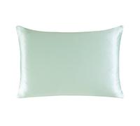 townssilk Federa seta cuscino,100% naturale seta di gelso 19momme,doppia faccia,benefica per capelli e pelle,ipoallergenica,cerniera nascosta,1 pz,50x80cm,Lightgreen