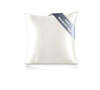 townssilk Federa seta cuscino,100% naturale seta di gelso 19momme,doppia faccia,benefica per capelli e pelle,ipoallergenica,cerniera nascosta,1 pz,65x65cm,Naturalwhite