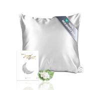 townssilk Federa seta cuscino,100% naturale seta di gelso 19momme,doppia faccia,benefica per capelli e pelle,ipoallergenica,cerniera nascosta,1 pz,80x80cm,Silver