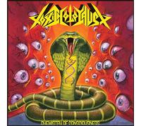 Toxic Holocaust - Chemistry Of Consciousness