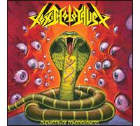 Toxic Holocaust Chemistry of Consciousness (Vinyl LP)