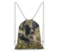 TOXOCMDKLE Zaino con coulisse per cane sdraiato sull'erba, borsa pieghevole per sport, palestra, shopping, yoga, Cane sdraiato sull'erba, 35x50cm