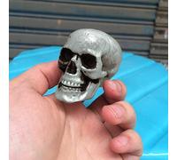 Toy 749 - Scheletri realistici in plastica di simulazione di Halloween con testa umana, giocattolo divertente (come mostra, taglia unica)