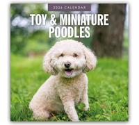 Toy and Miniature Poodles 2026 Square Wall Calendar