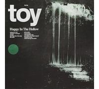 Toy Happy in the Hollow (Vinyl LP)
