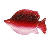 TOYANDONA 1 Pz Decorazione Appesa al Pesce Arte del Pesce Arredamento Dell'acquario Colorato Parlando Ornamento Decorativo Decorazioni Sospeso Pescare Parete Rosso Ferro da Stiro