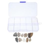 TOYANDONA 1 Scatola Set Educativo di Rocce e Minerali per Compartimenti Organizzati, Materiale Plastico e Pietra, Display Portatile Multipurpose per Aule di Geologia e Ambiente Domestico