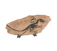 TOYANDONA 1 Set Dinosauro Decorativo e Stimola Creatività e Conoscenza