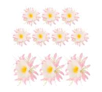 TOYANDONA 10 Pezzi Fermaglio per Chioma Design Realistico Materiale Plastica e Metallo a Forma di Fiore di Plumeria e Fiore di Loto, Leggero e Comodo per Feste in Spiaggia