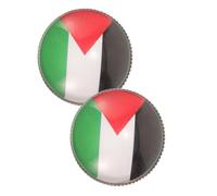 TOYANDONA 2 pezzi Spille Metalliche Bandiera Palestina Distintivo Patriottico per Bavero Cappello Giacca e Camicia Accessori Simbolici di Alta Artigianalità per Uomo e Donna