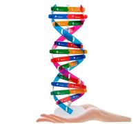 TOYANDONA 2 pezzi Strumento Didattico Scientifico Molecolare Dna Doppia Spirale per Scuola Gioco Educativo Biologia Resistente e Facile da Montare per Studenti 2pcs Grande