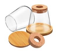 TOYANDONA 2 Pezzi Vasi per Piante Idroponiche Trasparente Base e Tappi Forati per Decorare Casa e Ufficio con Piante e Ornamentali