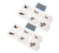 TOYANDONA 2 Set animazione raster kit esperimenti per kit scienze dell'educazione Esperimento scientifico per Prodotti