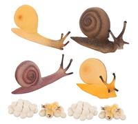 TOYANDONA 2 Set di Modelli di Ciclo di Crescita delle Lumache Modelli Creativi di Giocattoli per La Crescita delle Lumache Giocattoli Cognitivi per Giocattoli per Il Ciclo di Crescita